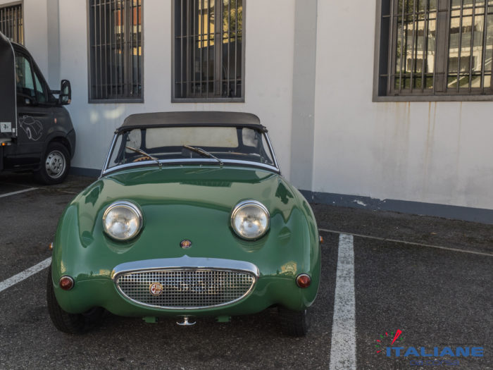 alianedacorsa-Firenze-Fiesole-2019-Austin-Healey-FROG